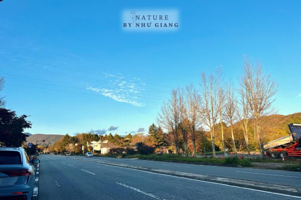 Nghi duong Karuizawa 31