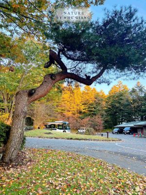 Nghi duong Karuizawa 41