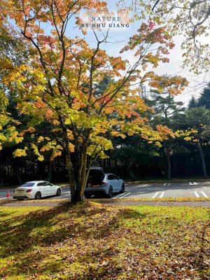 Nghi duong Karuizawa 42