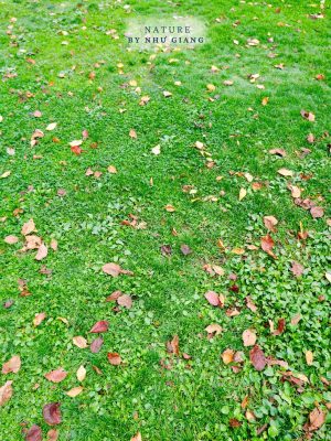 Nghi duong Karuizawa 47