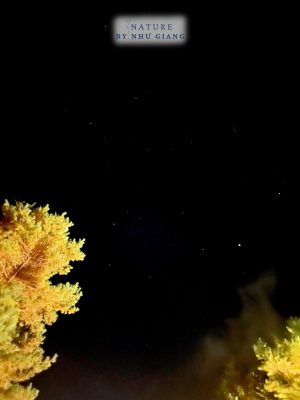 Nghi duong Karuizawa 50