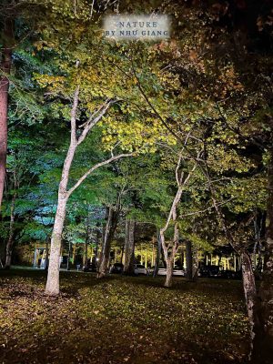 Nghi duong Karuizawa 63