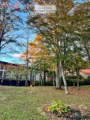 Nghi duong Karuizawa 64