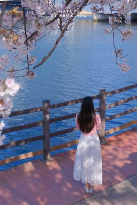 Suyeong Riverside Walk 10