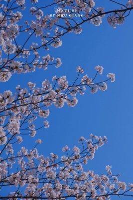 Suyeong Riverside Walk 12