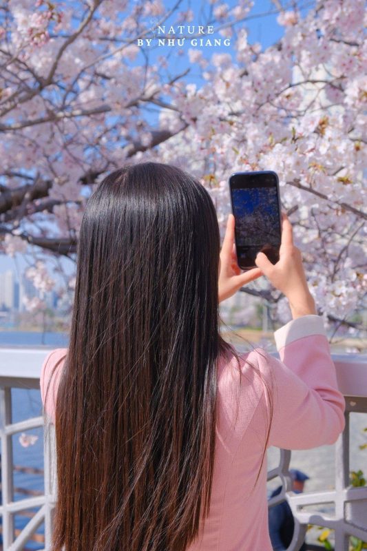 Suyeong Riverside Walk 14