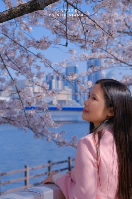 Suyeong Riverside Walk 17