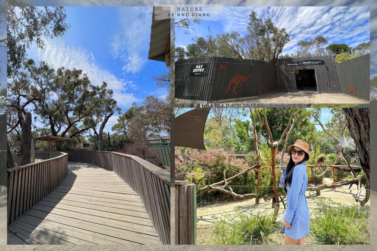 Moonlit Sanctuary Wildlife Conservation Park 1