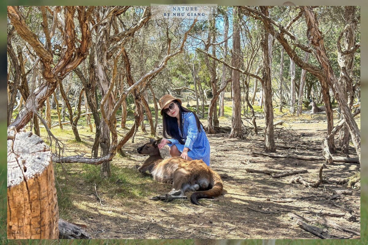 Moonlit Sanctuary Wildlife Conservation Park 2