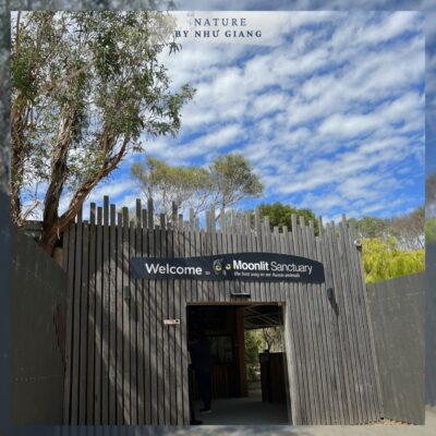 Moonlit Sanctuary Wildlife Conservation Park 7