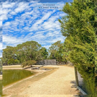 Moonlit Sanctuary Wildlife Conservation Park 8